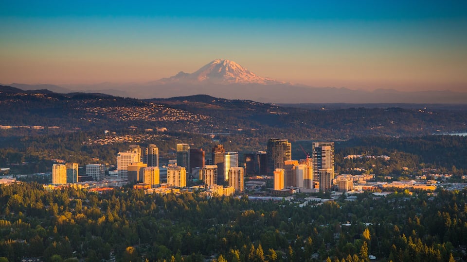A cityscape with a prominent mountain in the background.