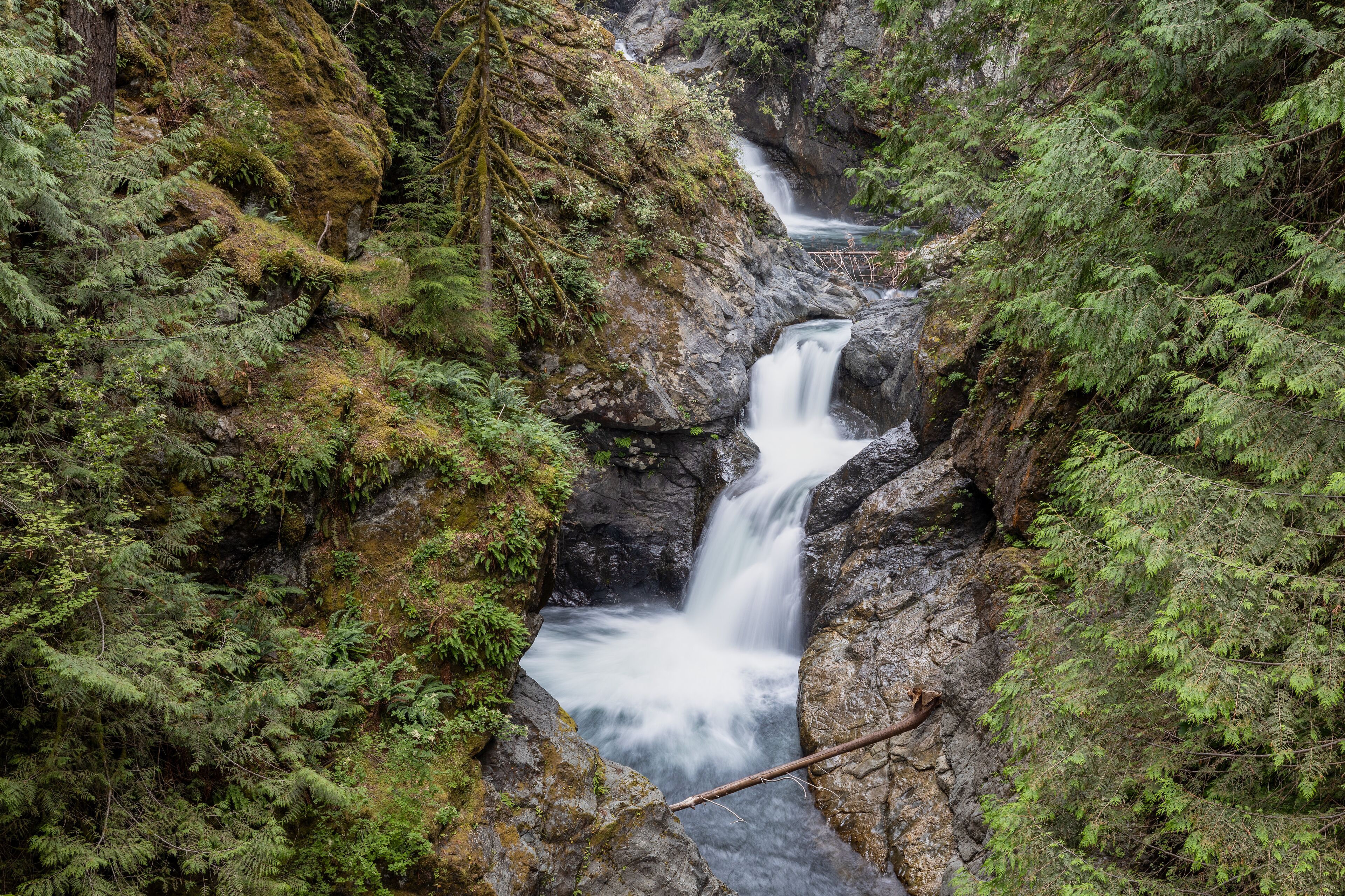 Middle Twin Falls
Olallie State Park
North Bend, Washington
July 2023