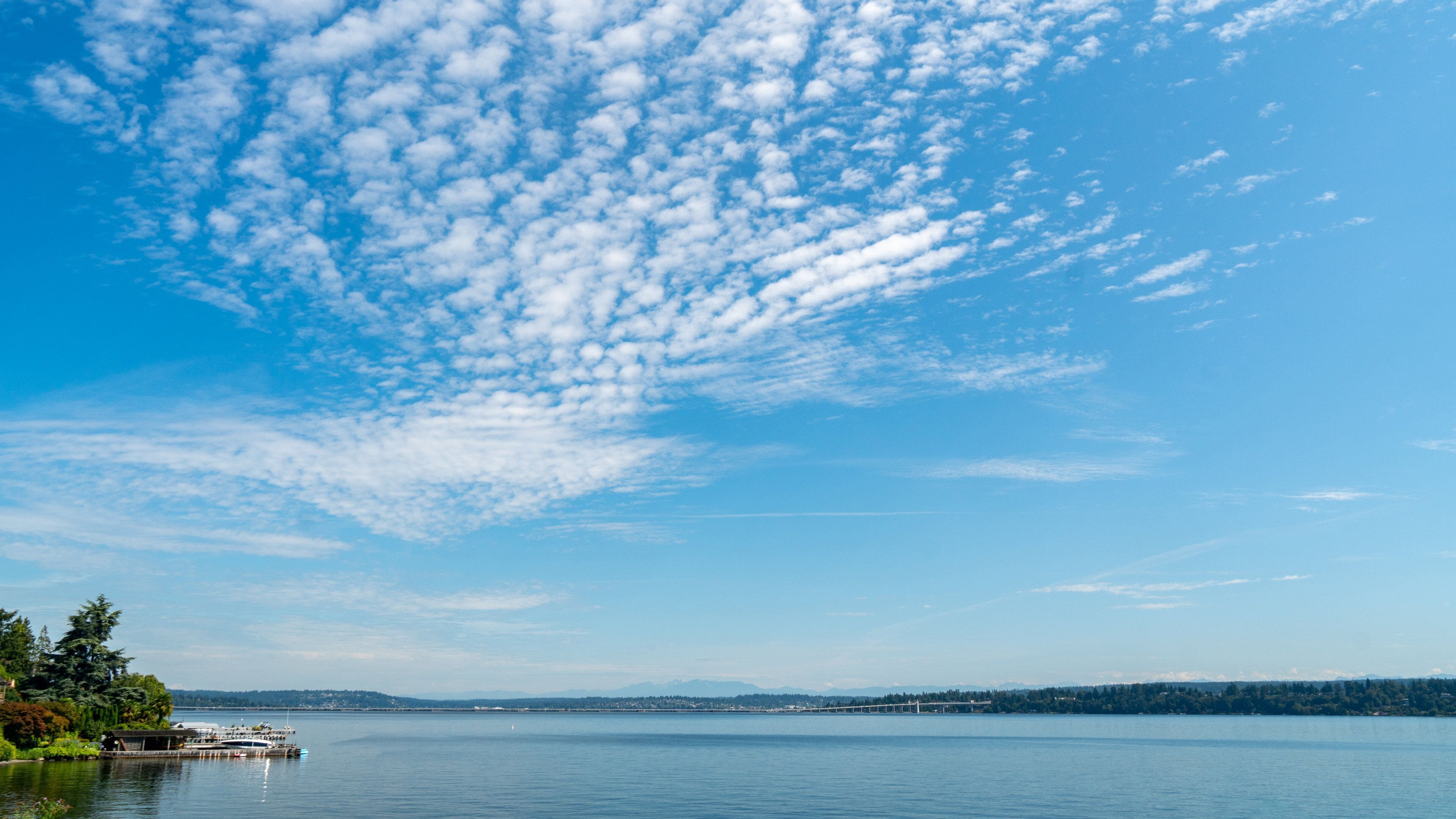 Lake Washington showing a lake or waterhole