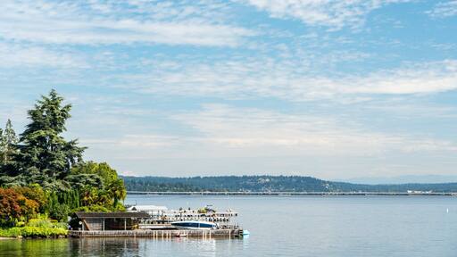 Lake Washington which includes a lake or waterhole