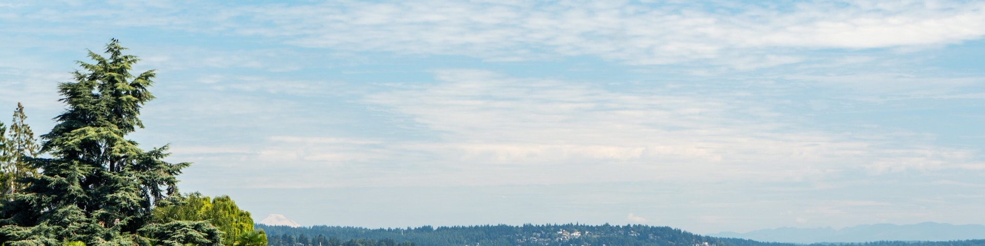 Lake Washington which includes a lake or waterhole