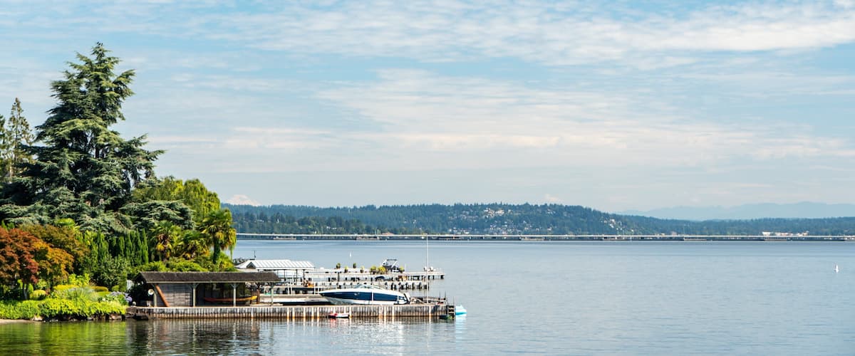 A waterfront with a dock, boats, and a forested hill in the background.