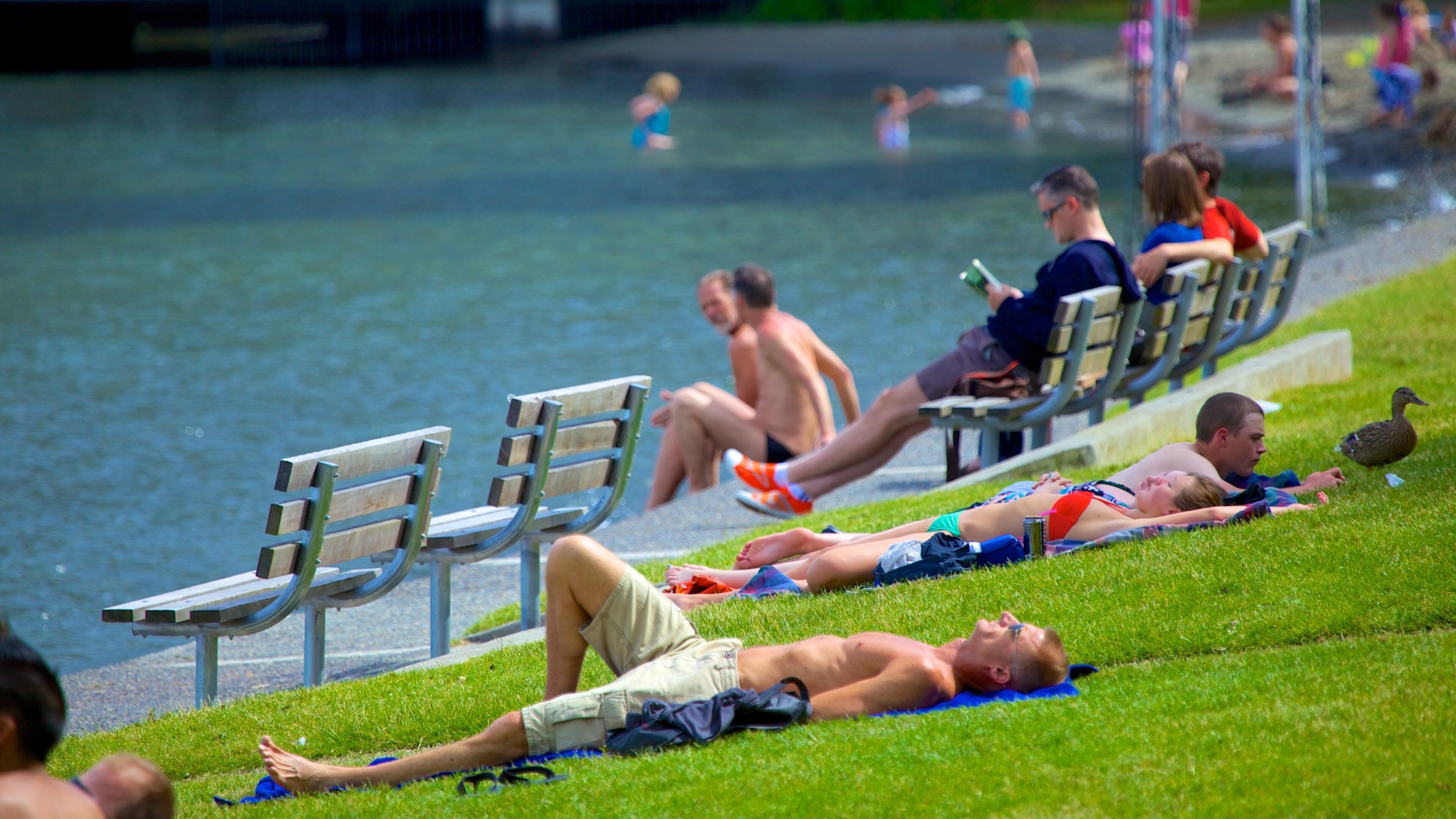 Seattle mostrando um lago ou charco assim como um pequeno grupo de pessoas