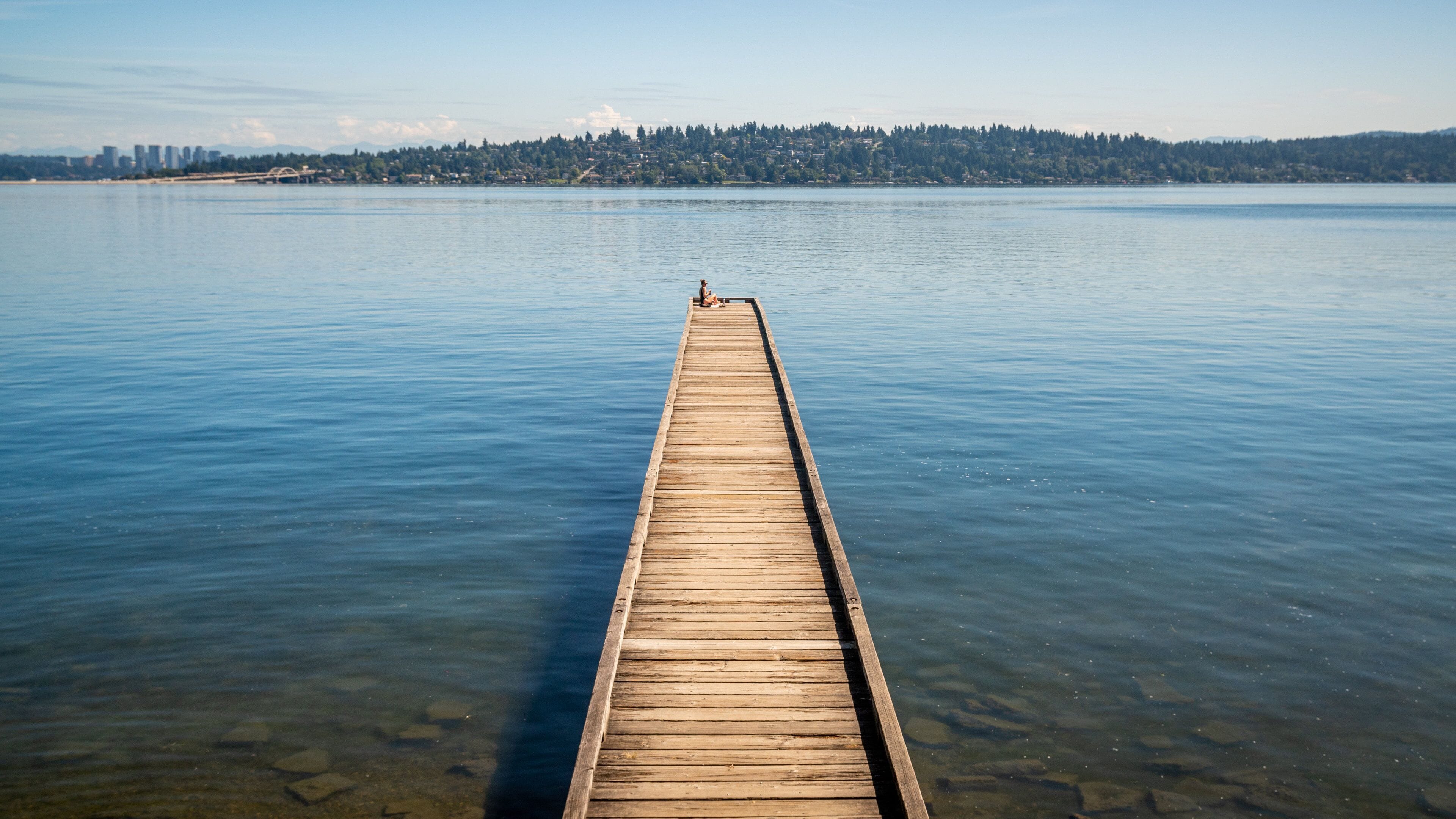 Lake Washington showing a lake or waterhole