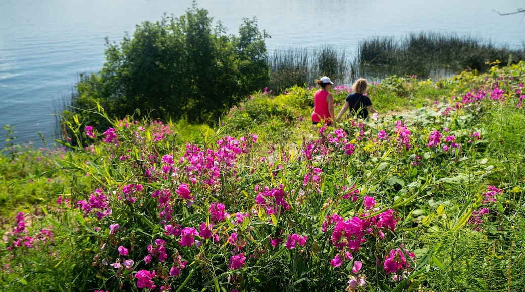 Lake Washington featuring wildflowers as well as a couple