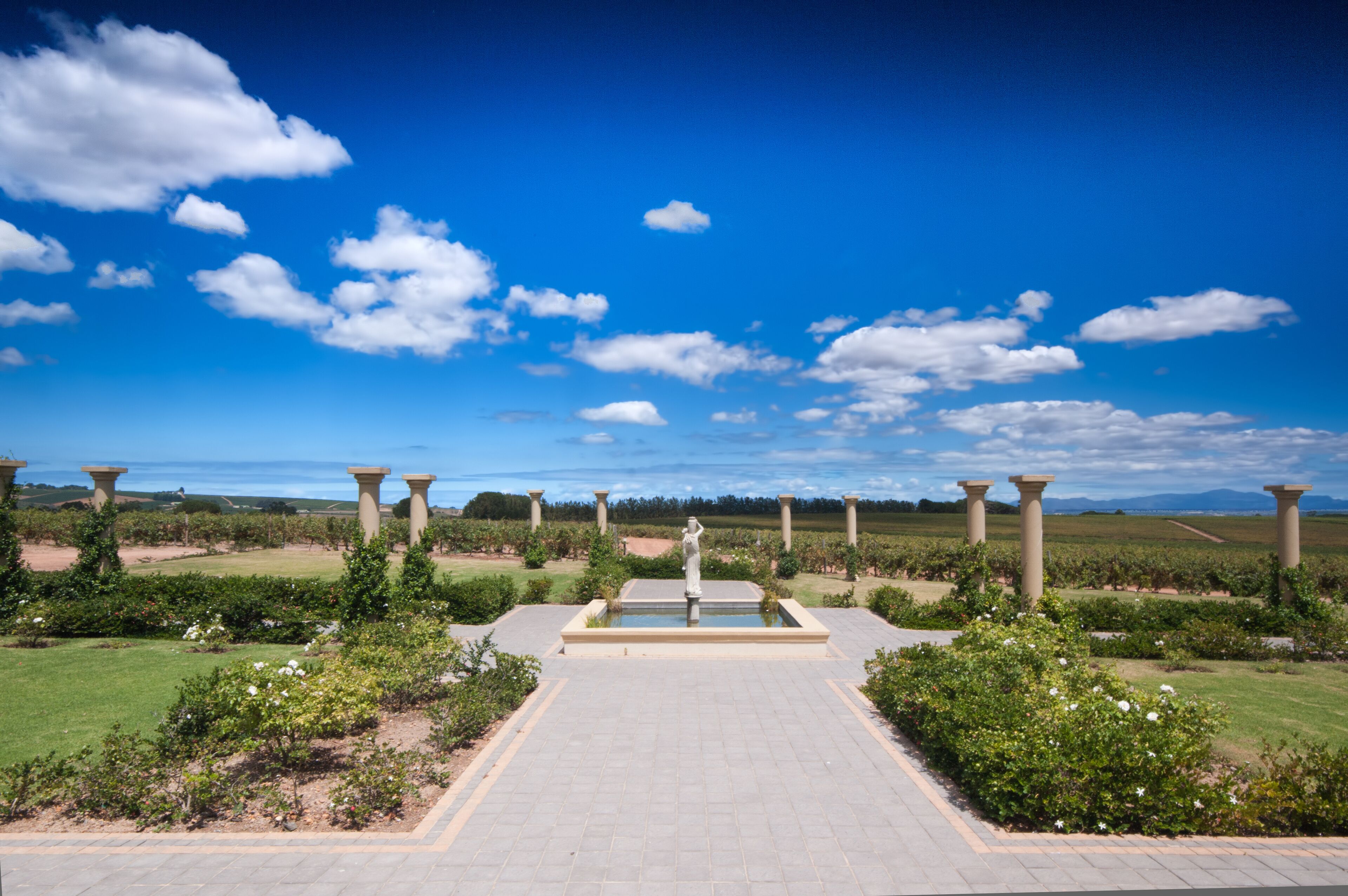 The Stellenbosch wine lands region near Cape Town..