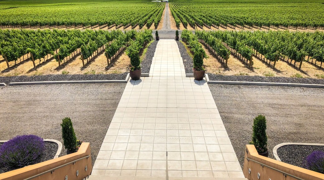 Col Solare Winery is a collaboration between Washington's Château Ste. Michelle and Italy's Antinori, both arguably the most historically influential wineries in their respective region.
This is one of the most beautiful wineries in the state and, if their guided tour is fun and educational, the tasting will be the highlight of your trip to Red Mountain.
#lifeatexpedia #winecountry