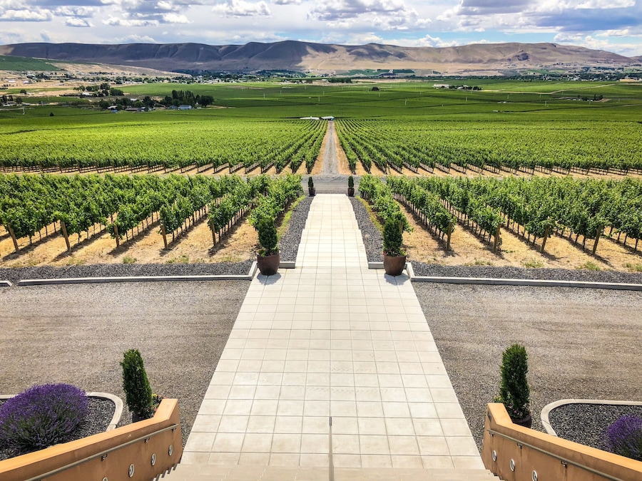 Col Solare Winery is a collaboration between Washington's Château Ste. Michelle and Italy's Antinori, both arguably the most historically influential wineries in their respective region.
This is one of the most beautiful wineries in the state and, if their guided tour is fun and educational, the tasting will be the highlight of your trip to Red Mountain.
#lifeatexpedia #winecountry