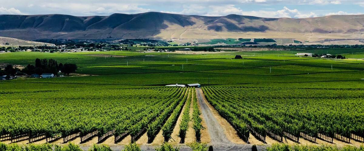 #wallaWalla is #PNWs gem. It’s Washington states wine country with some Big US name vineyards. 5 hours from #Seattle #wine #lifeatexpedia