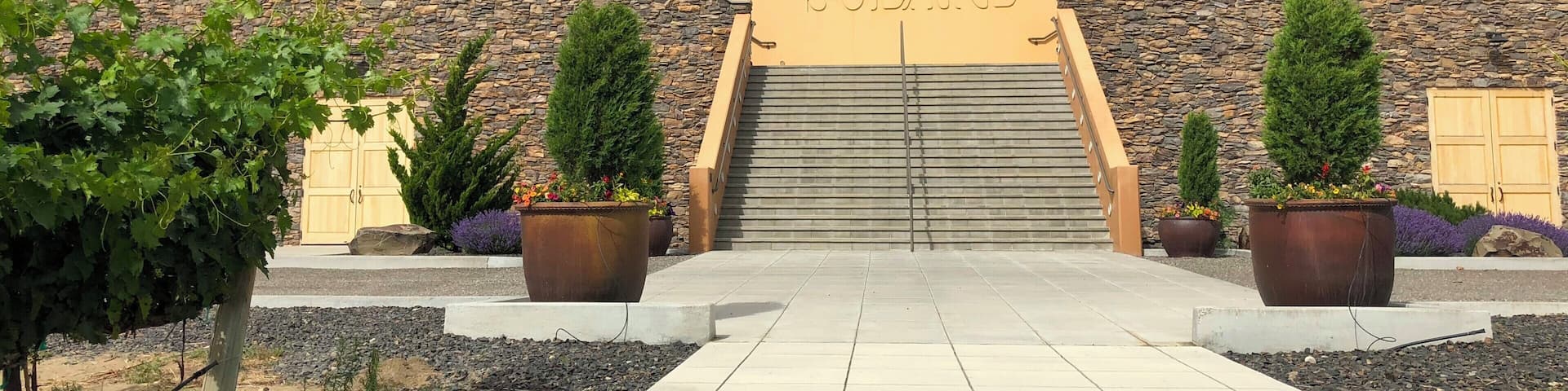 Col Solare Winery is a collaboration between Washington's Château Ste. Michelle and Italy's Antinori, both arguably the most historically influential wineries in their respective region.
This is one of the most beautiful wineries in the state and, if their guided tour is fun and educational, the tasting will be the highlight of your trip to Red Mountain.
#lifeatexpedia #winecountry