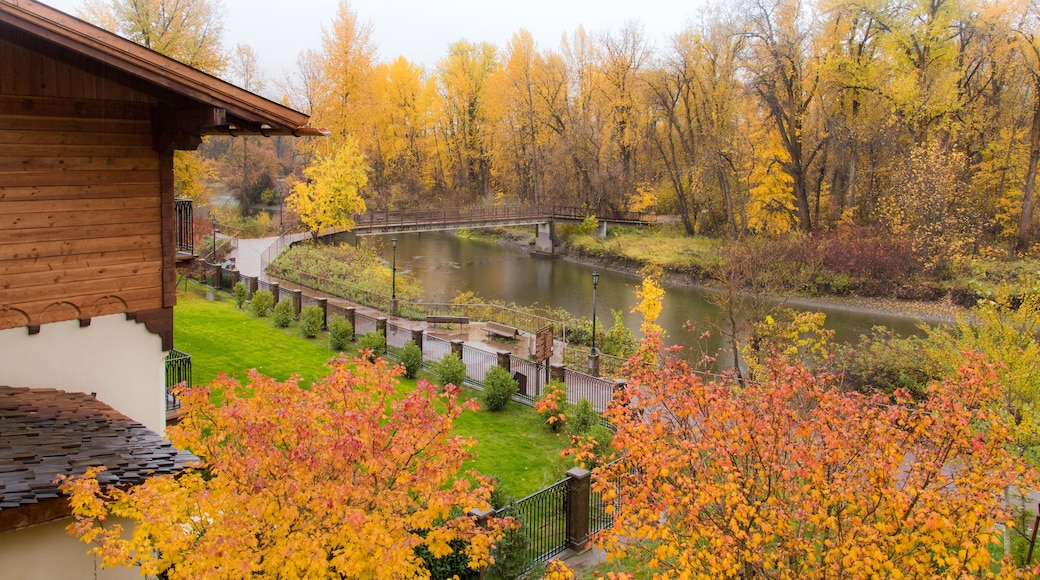 Autumn paint in the Park