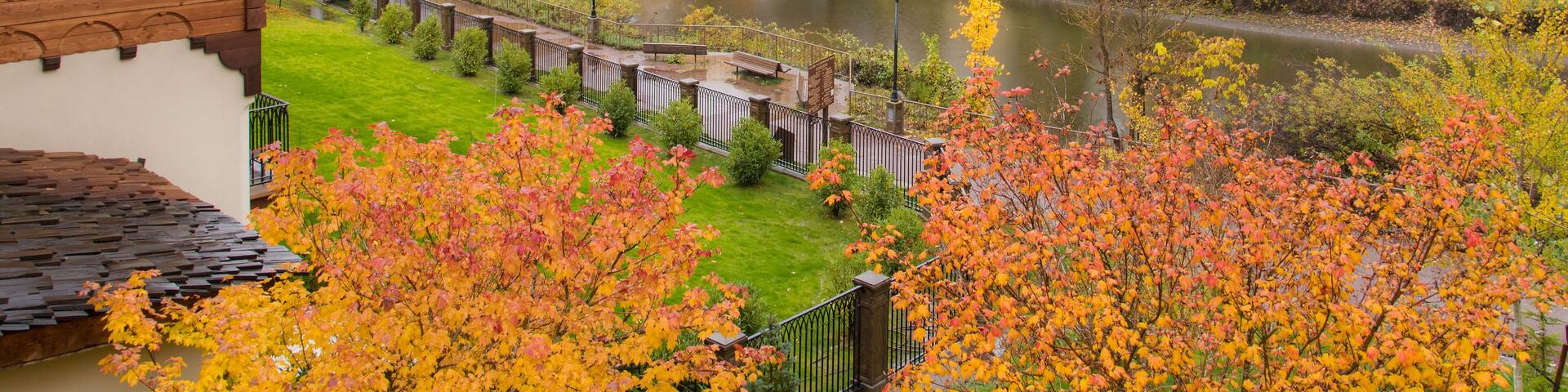 Autumn paint in the Park