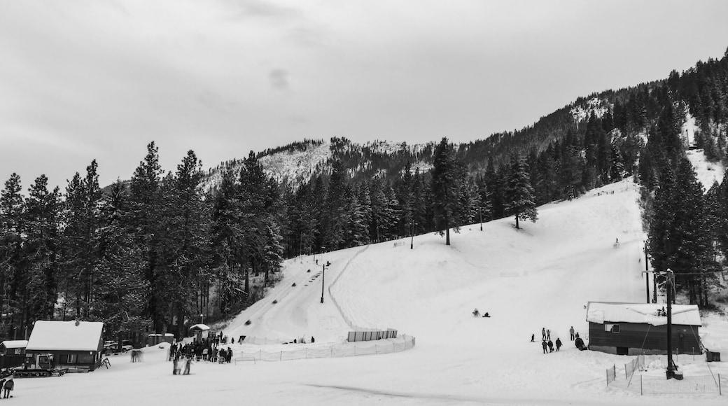 The most popular winter activities is supposedly 'Skiing'. The Ski Hill at Leavenworth is one of those famous Ski resorts in Washington apart from Snowqualmie and likes. #WinterWonders