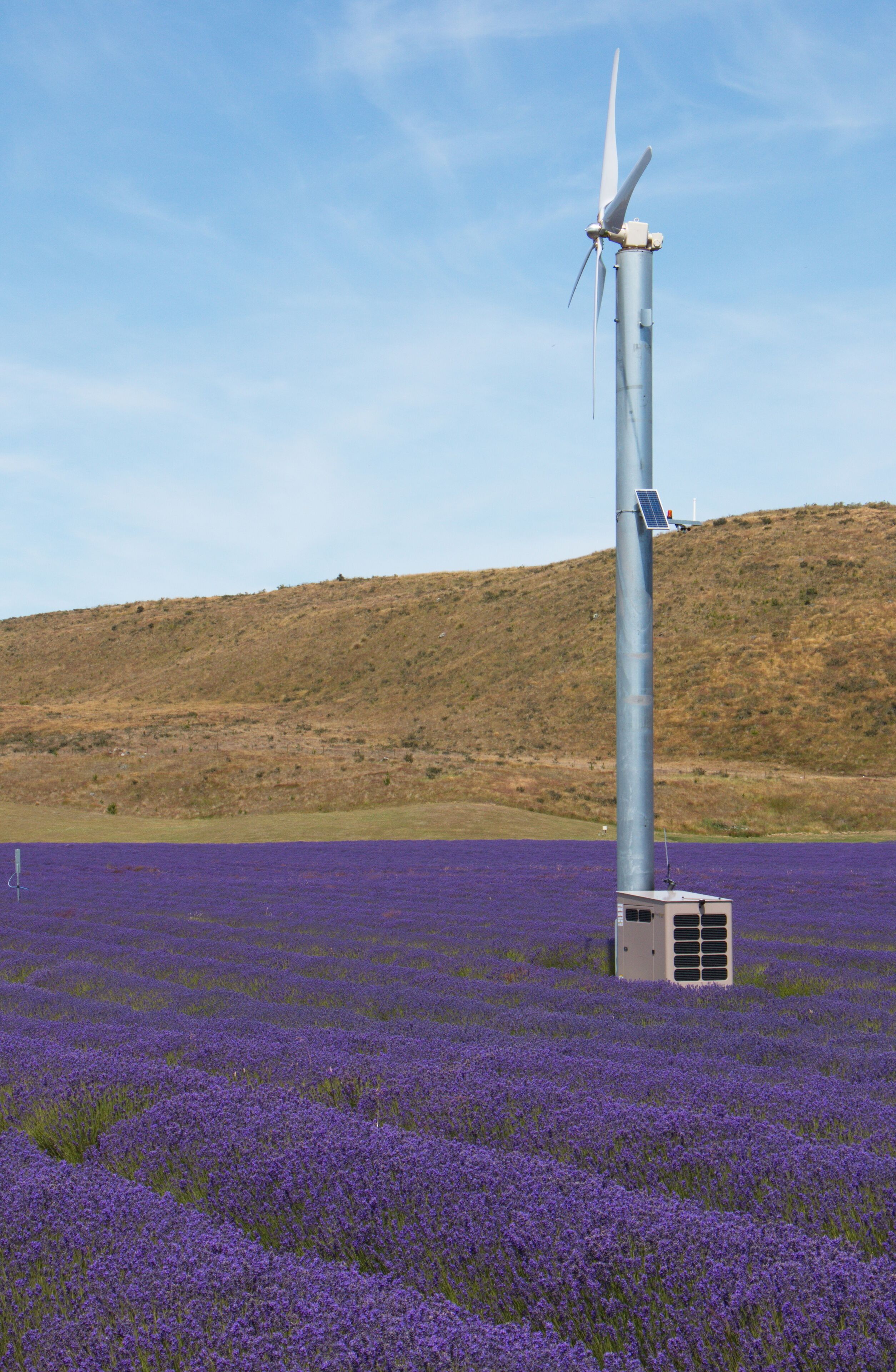 Wind turbine and solar panel in a lavender farm near Twizel on South Island of New Zealand