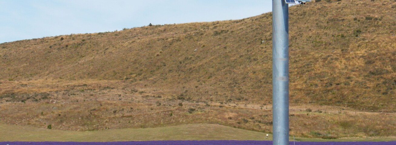 Wind turbine and solar panel in a lavender farm near Twizel on South Island of New Zealand