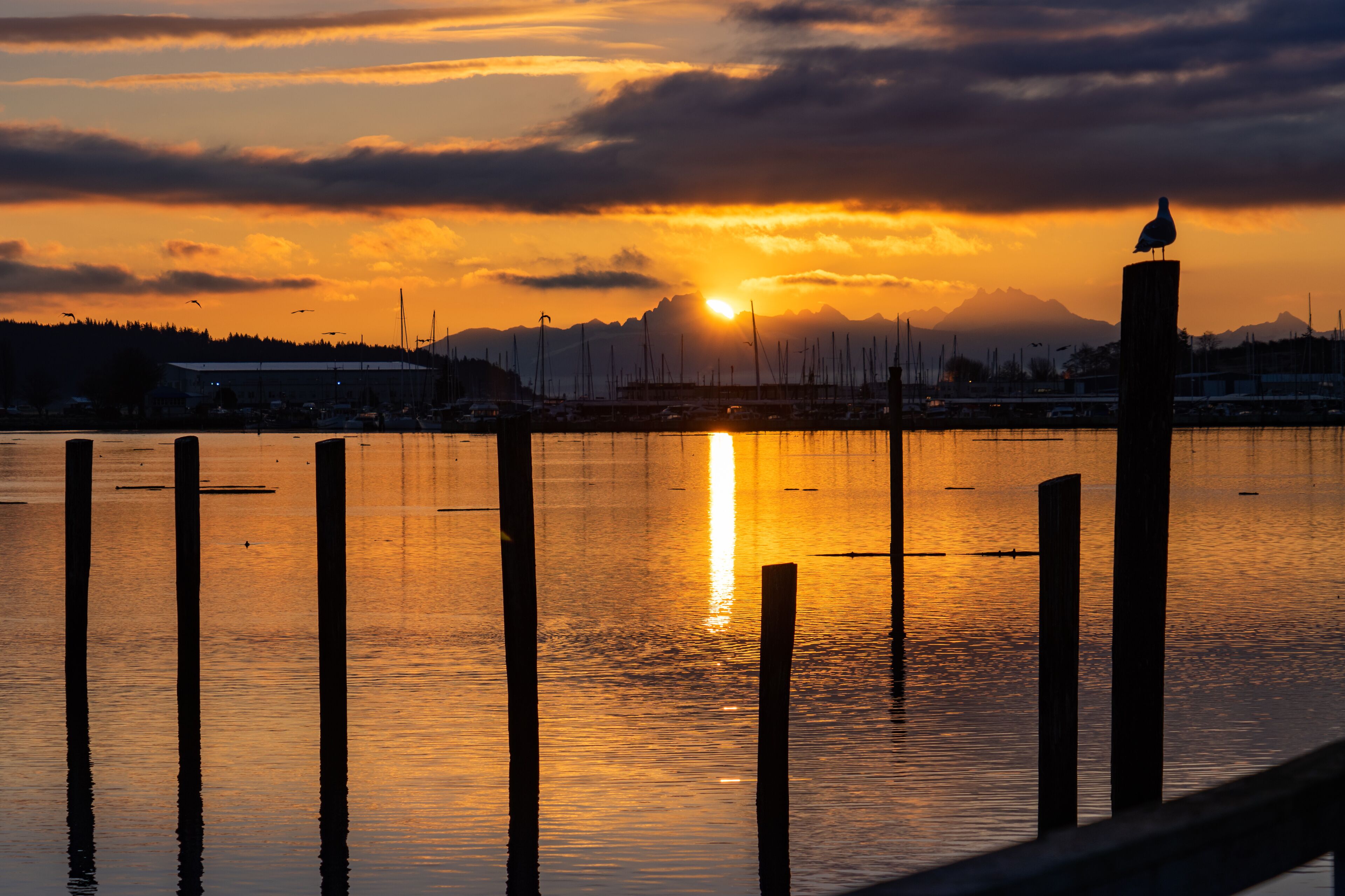 Winter Sunrise Dawn From Flintstone Park Oak Harbor Washington