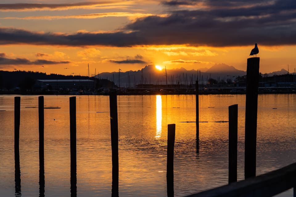 Un atardecer sobre un puerto tranquilo con postes de madera y veleros.