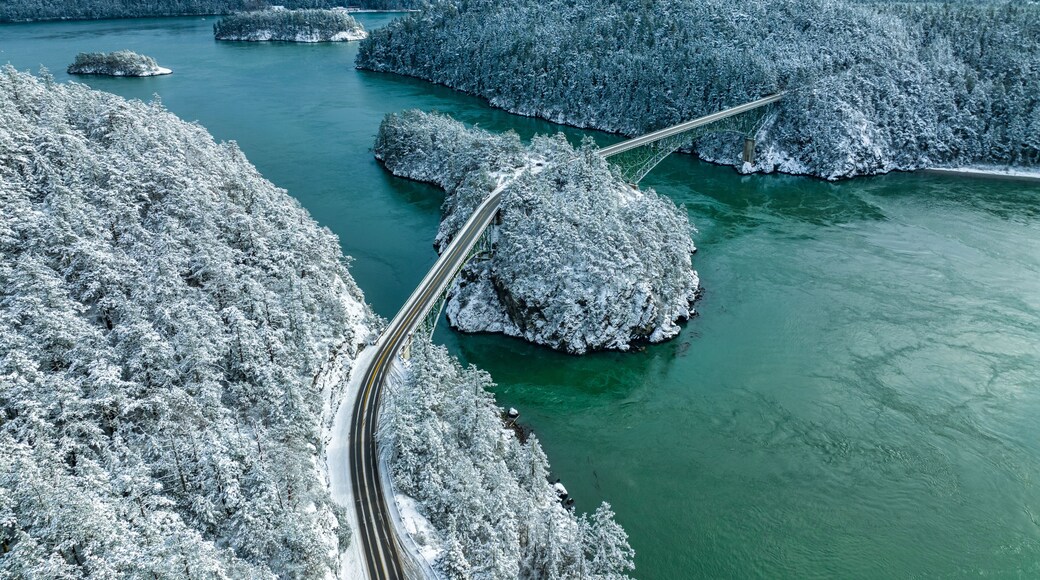 Deception Pass Aerial
