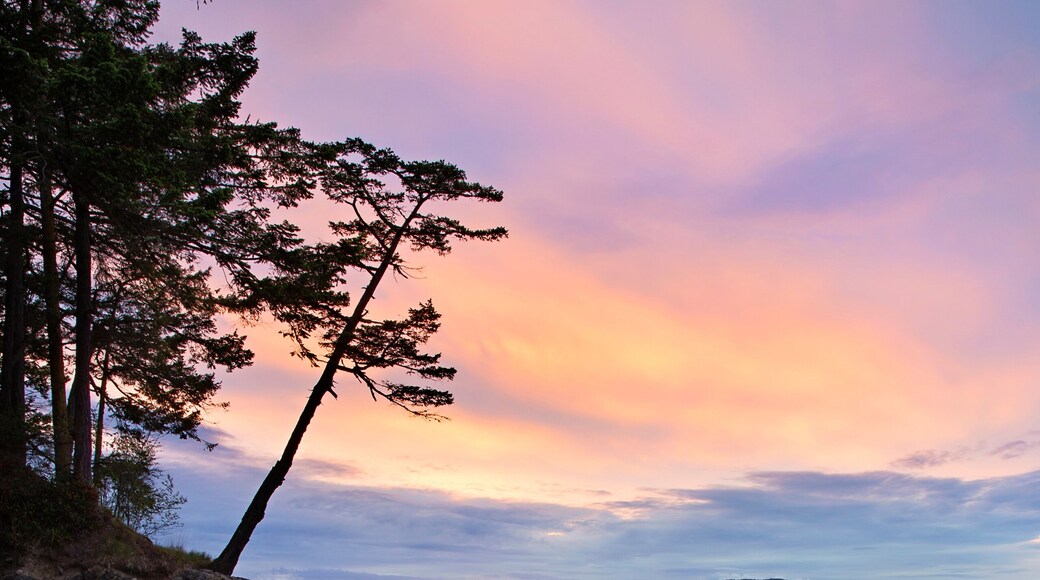 Peaceful and colorful sunset over the Salish Sea near Anacortes, Washington. San Juan Islands