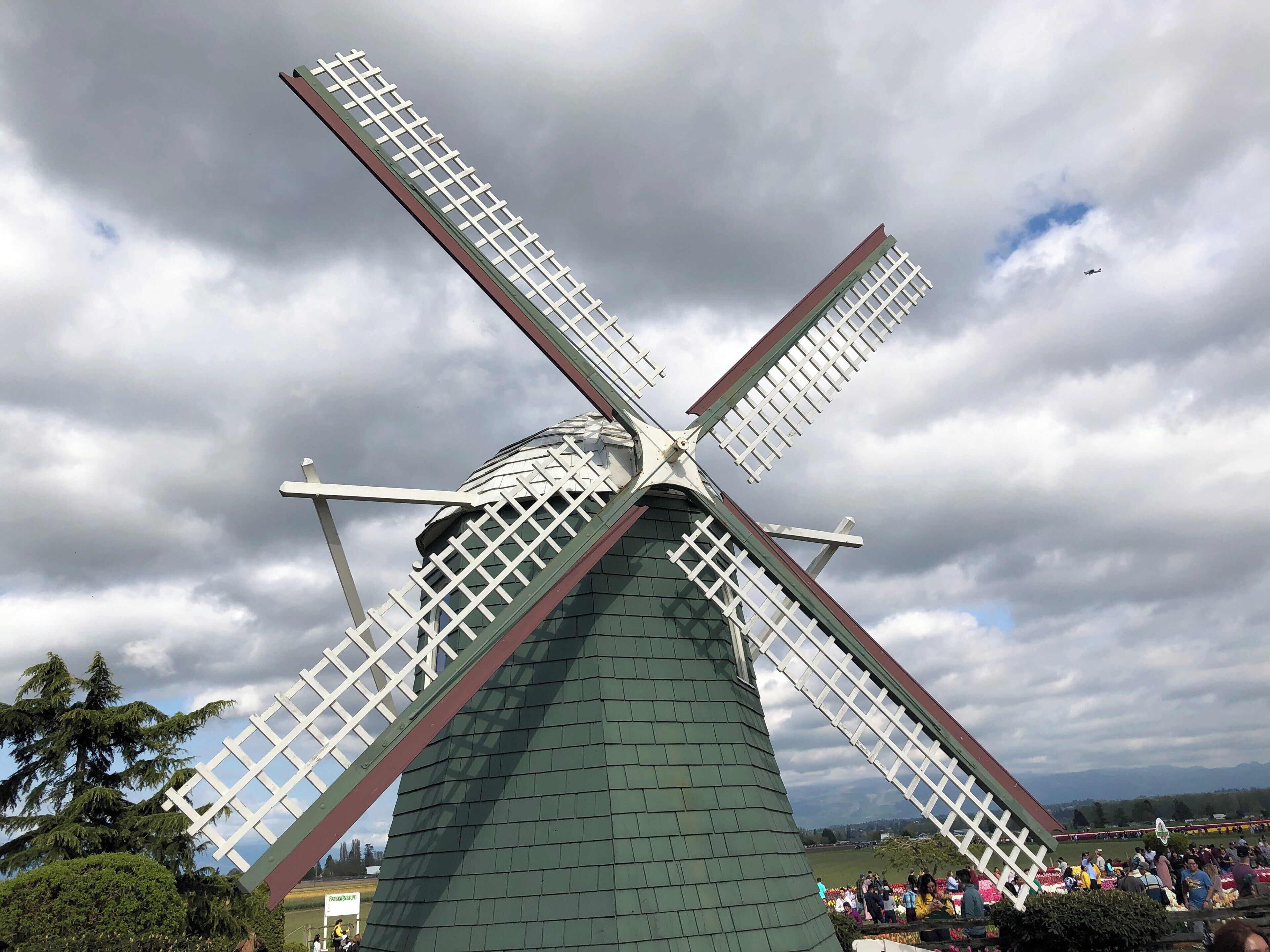 #culture #windmill