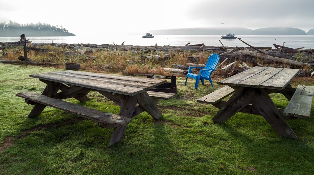 Picnic tables and blue chair at Spencer Spit State Park on Lopez Island, Washington, USA