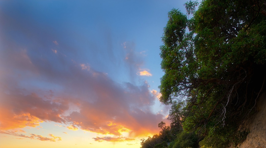 Camano Island State Park