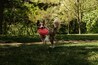 A playful red merle Border Collie runs across a sunny park field with a bright red frisbee in its mouth, surrounded by spring trees and soft green grass. Happy pet in summer park.