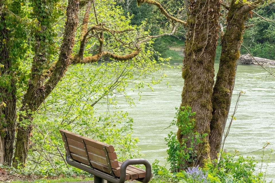 Un banco de madera junto a un río rodeado de árboles y follaje.