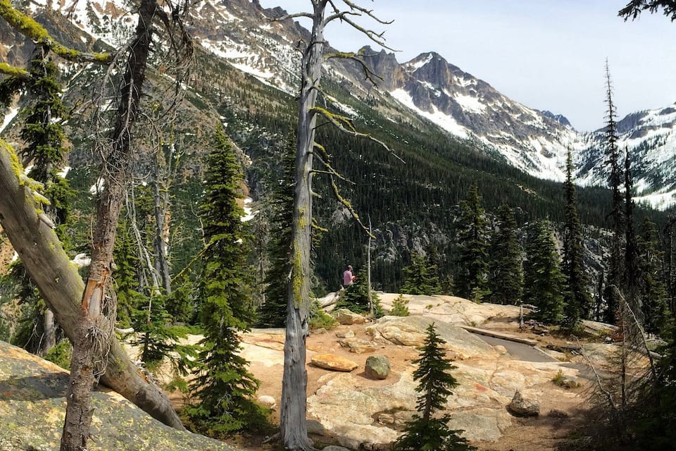 A mountainous landscape with snow-capped peaks, a clear sky, and a mix of evergreen and dead trees.