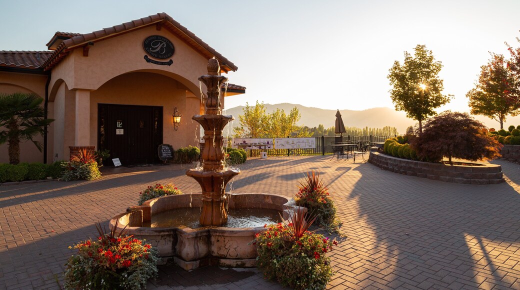 Benson Vineyards Estate Winery featuring a sunset and a fountain