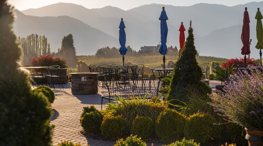 Benson Vineyards Estate Winery showing a sunset and a park