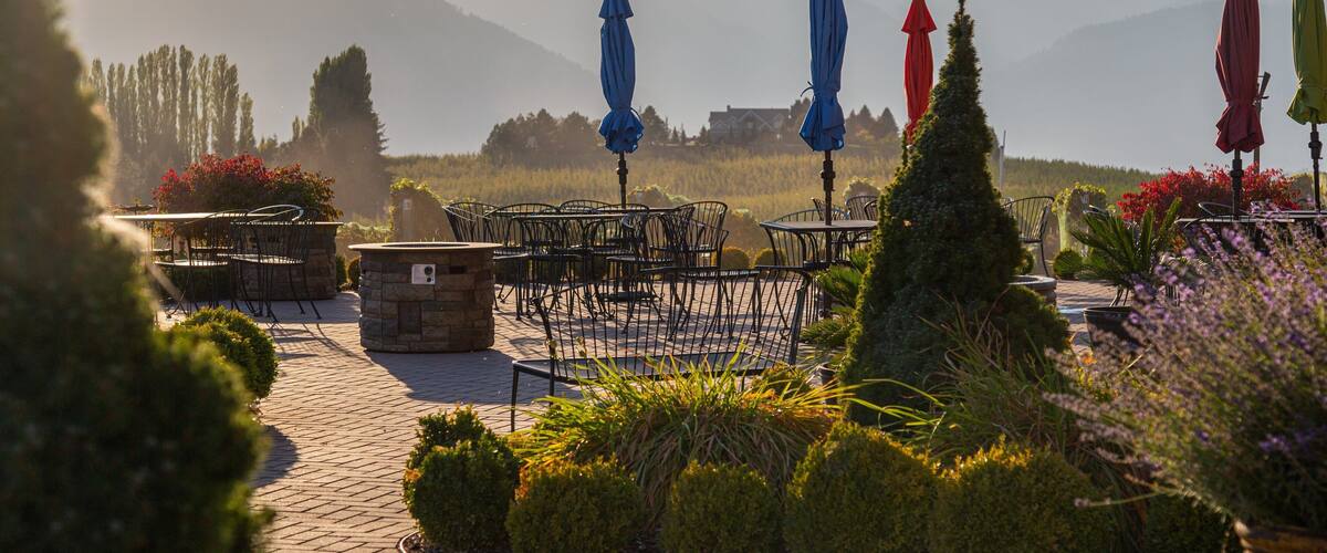 Benson Vineyards Estate Winery showing a sunset and a park