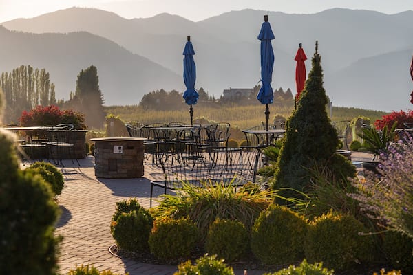 Benson Vineyards Estate Winery showing a sunset and a park