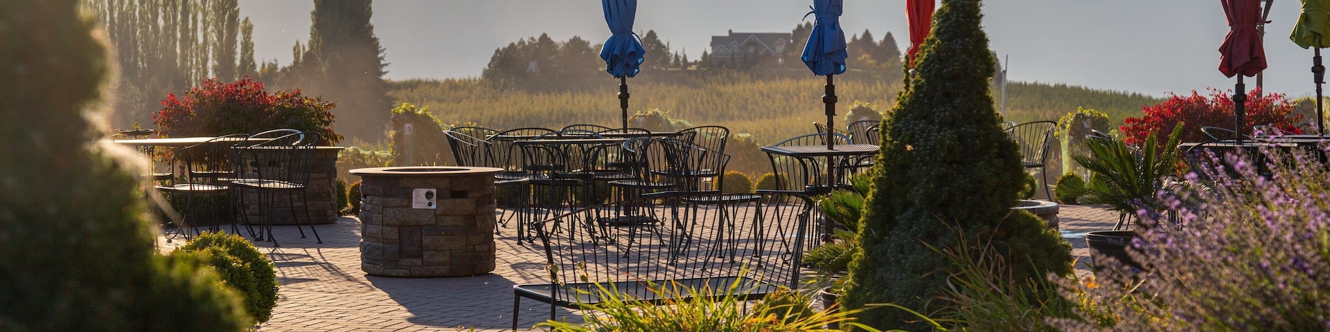 Benson Vineyards Estate Winery showing a sunset and a park