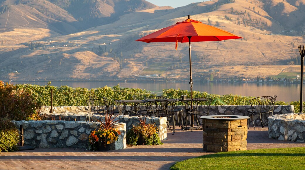 Benson Vineyards Estate Winery showing a garden