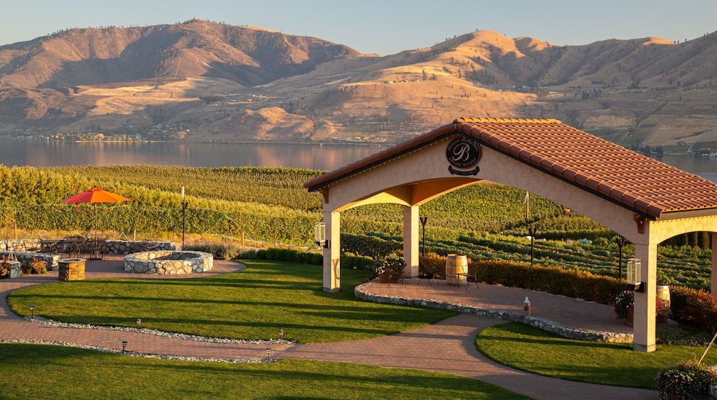 Benson Vineyards Estate Winery which includes landscape views, a park and a sunset