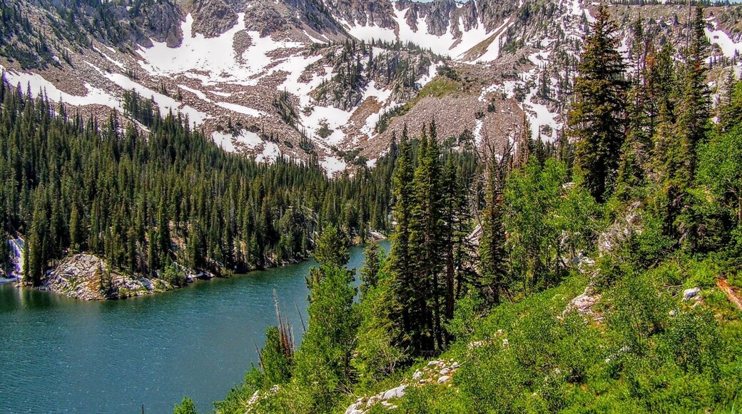 ビッグ ツイン湖