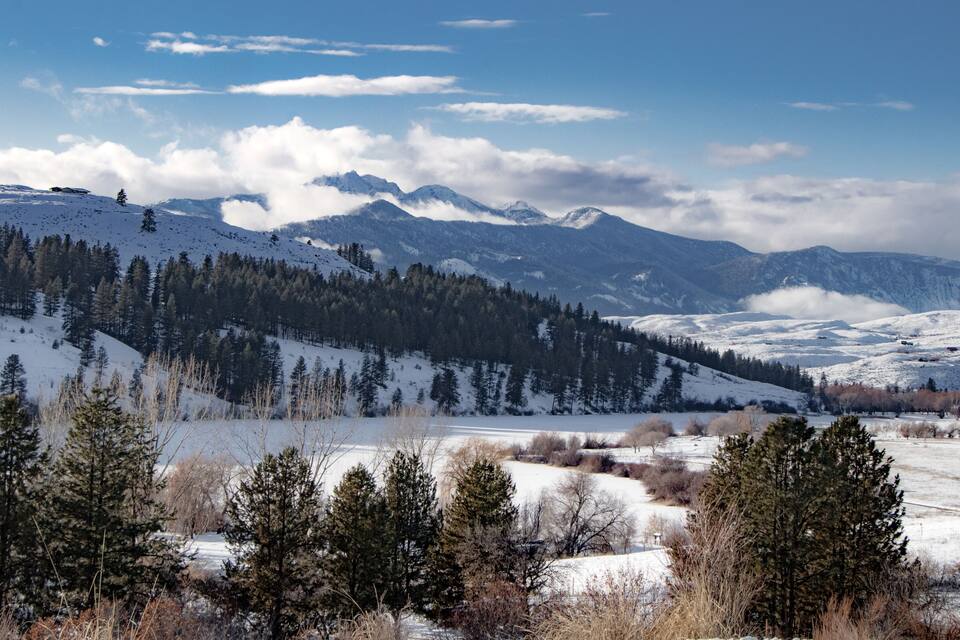 A snowy mountain landscape with evergreen trees and a clear sky.