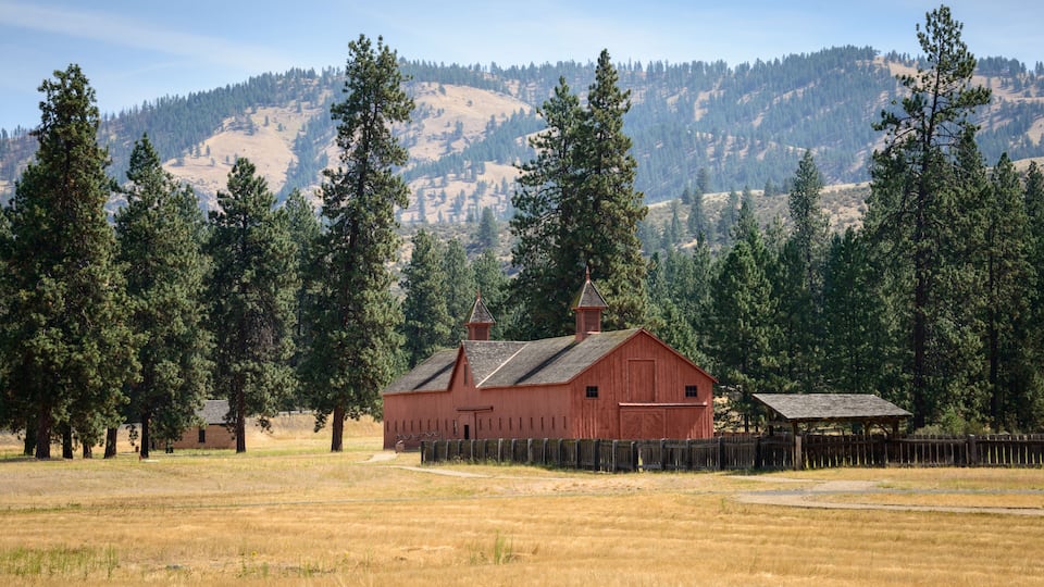 A red barn surrounded by a wooden fence, a small wooden structure, and tall pine trees in a grassy field with a mountain in the background.
