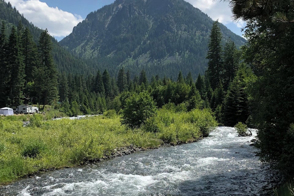 A river flowing through a forested valley with mountains in the background.