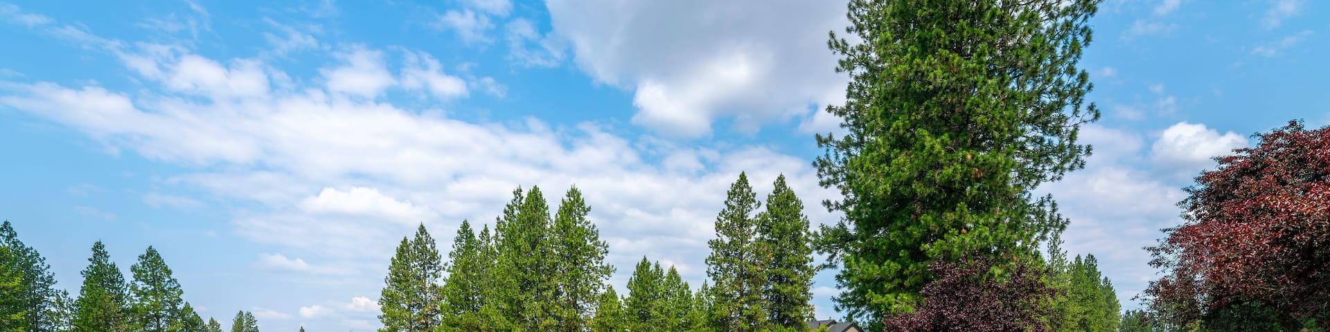 View of a sand trap, fairway and green at the Highlands Golf Course, an exclusive golf community of high end homes in the rural city of Post Falls, Idaho, in the Coeur d'Alene area of North Idaho.