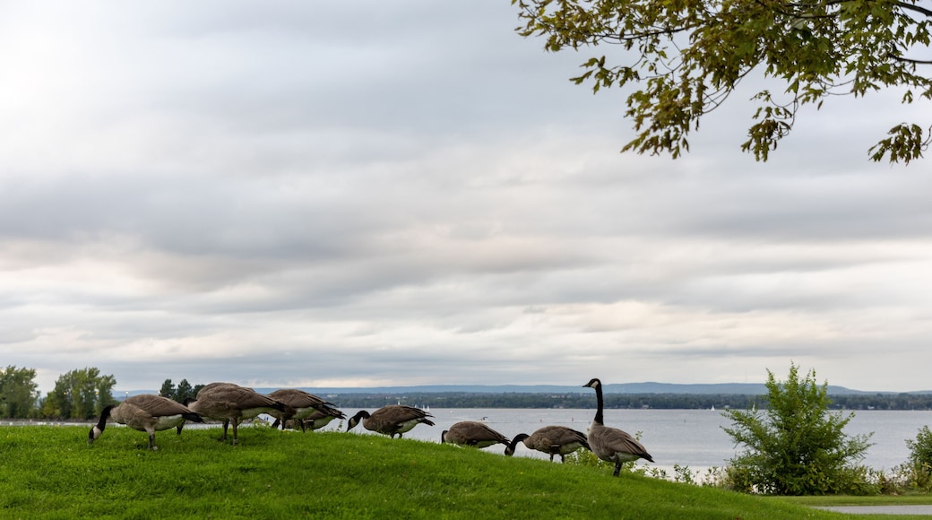 ヘイデンシティパーク