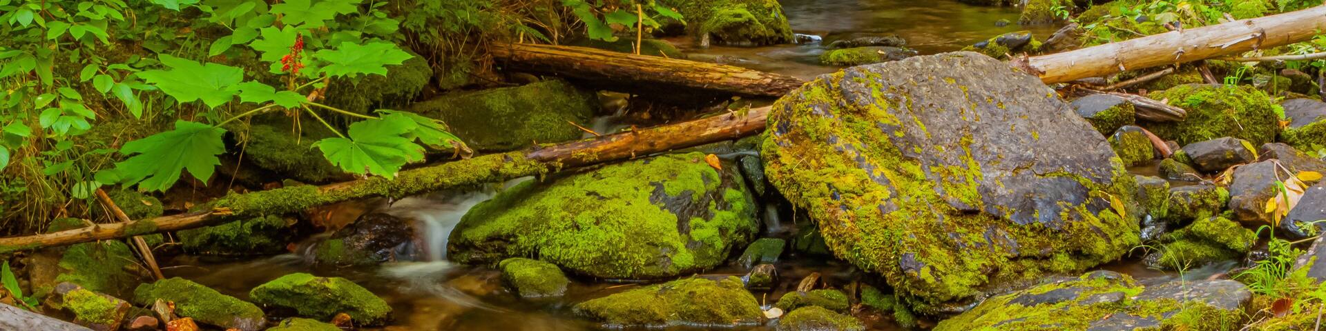 Pulaski Tunnel Trail