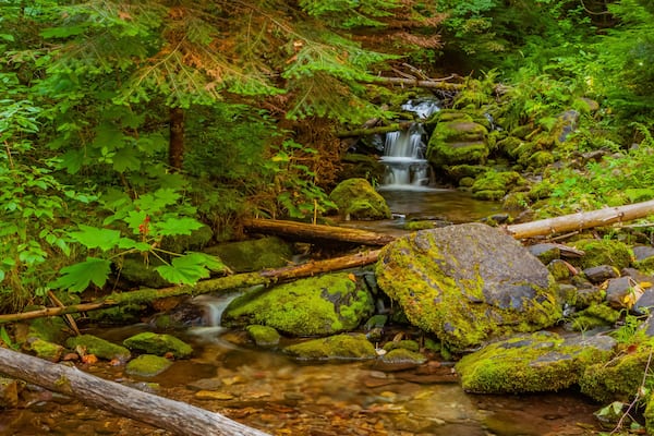 Pulaski Tunnel Trail