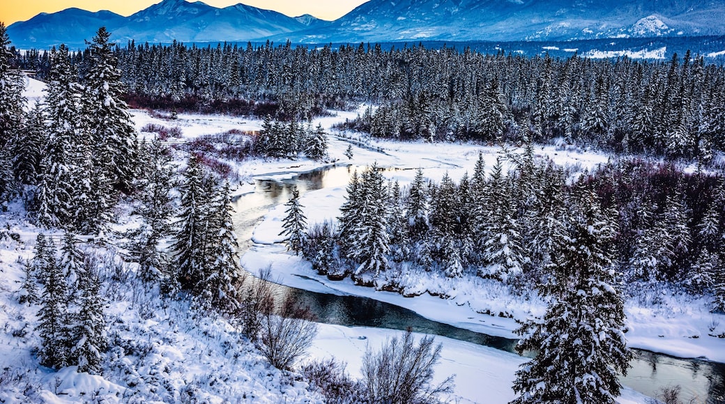 HĂŽtel Fairmont Hot Springs Resort