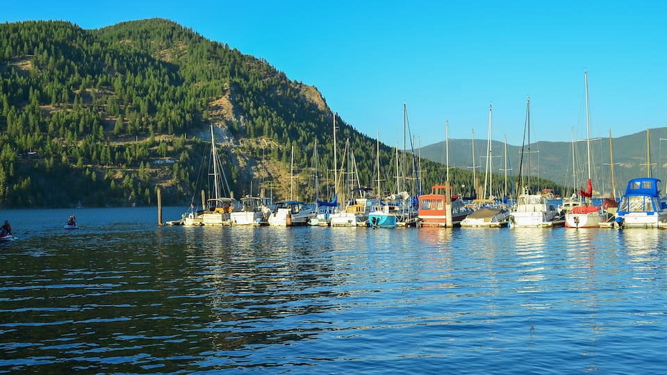 A marina with boats docked near a forested hill.