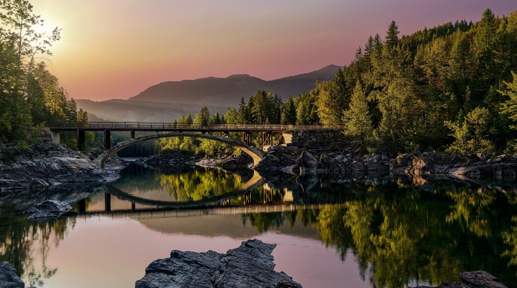 Flathead National Forest