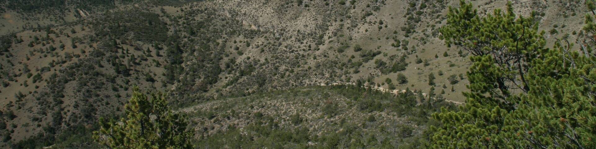 A mountainous landscape with a river valley, rocky terrain, and scattered trees.