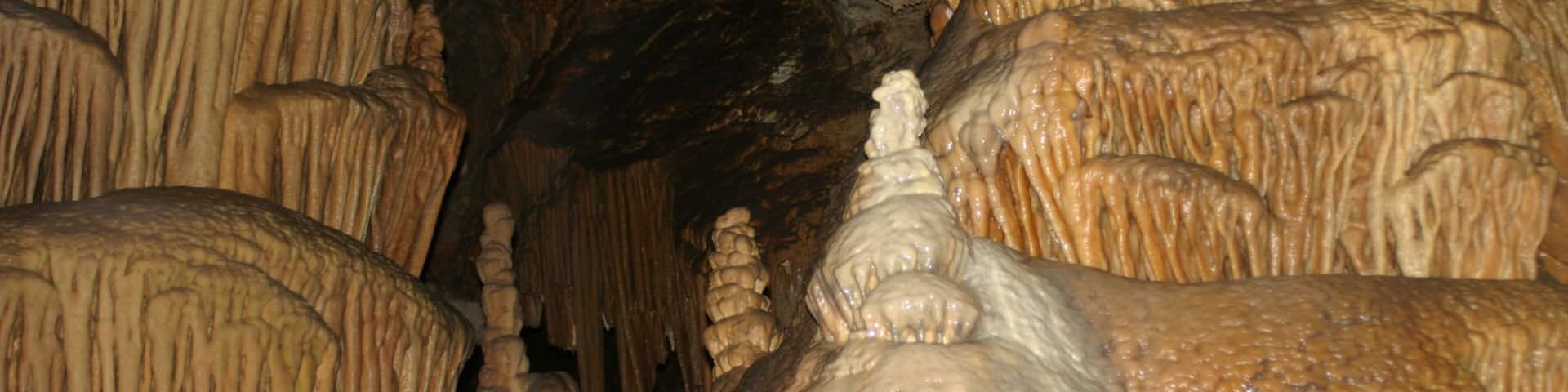 Lewis and Clark Caverns State Park featuring a garden