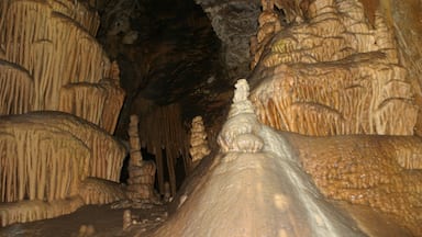 Lewis and Clark Caverns State Park featuring a garden